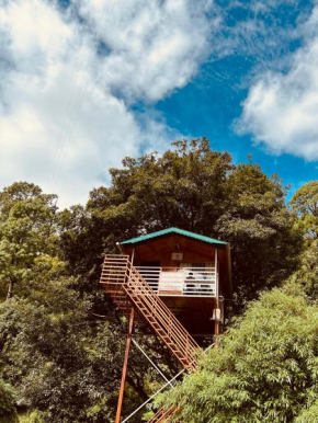 The Cocoon Camps & nature Resorts